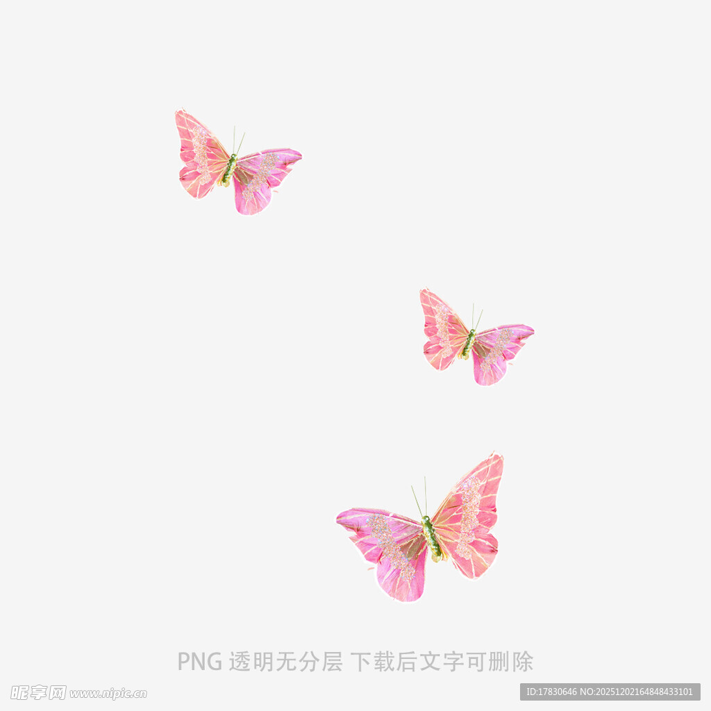 三只粉色蝴蝶飞舞