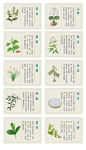 常见草药图示