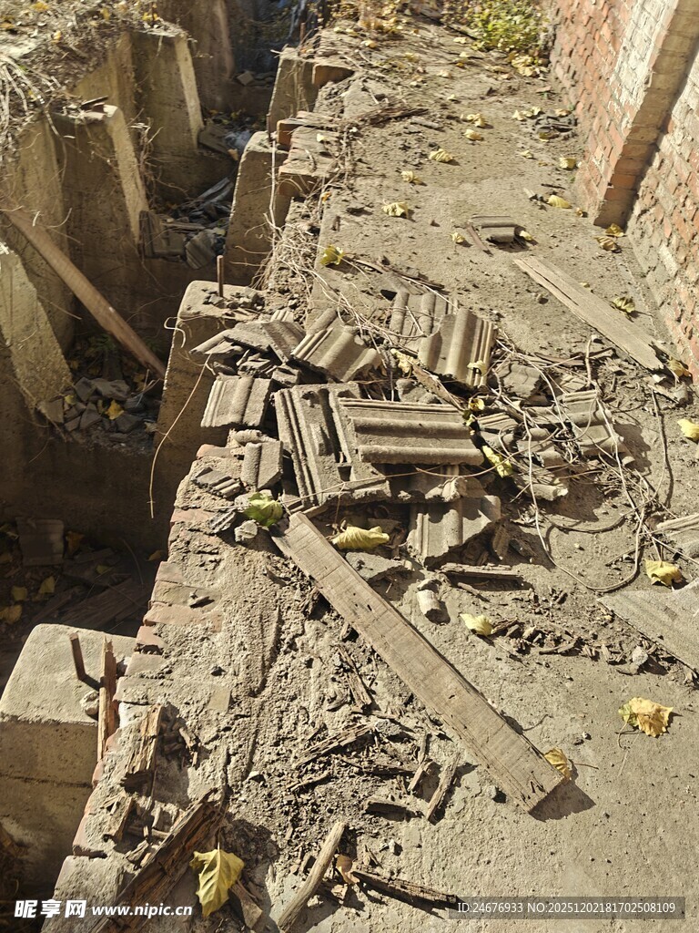 古代遗址发掘现场