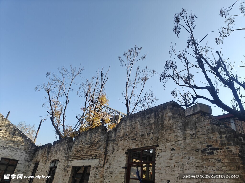 古老石屋与光秃树木