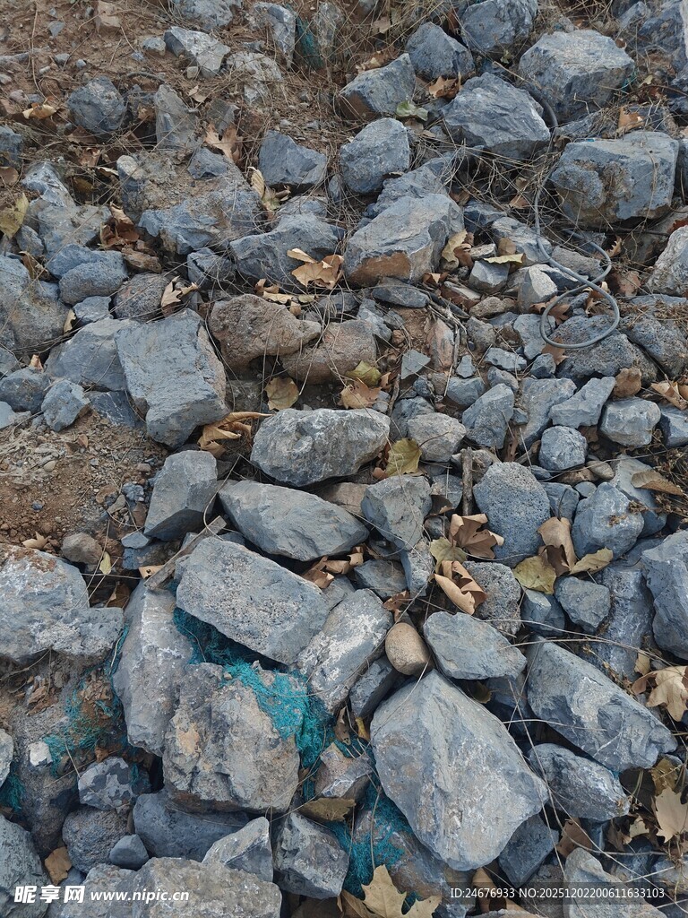 碎石堆中的一抹蓝