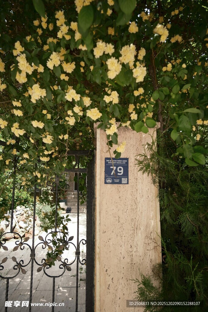 蔷薇花下的雅致院门