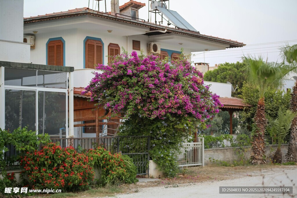 庭院繁花环绕的温馨住宅