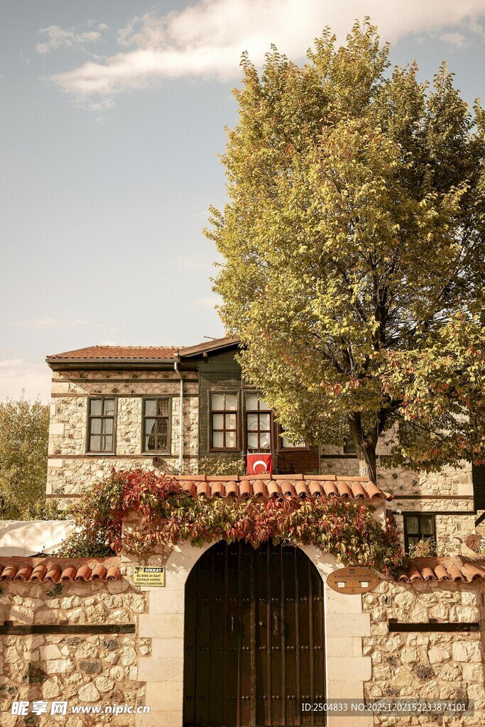 古朴院门旁的繁茂绿树