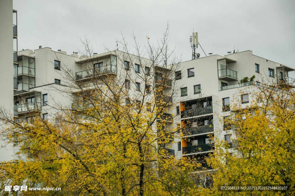 秋日里 居民楼与树木