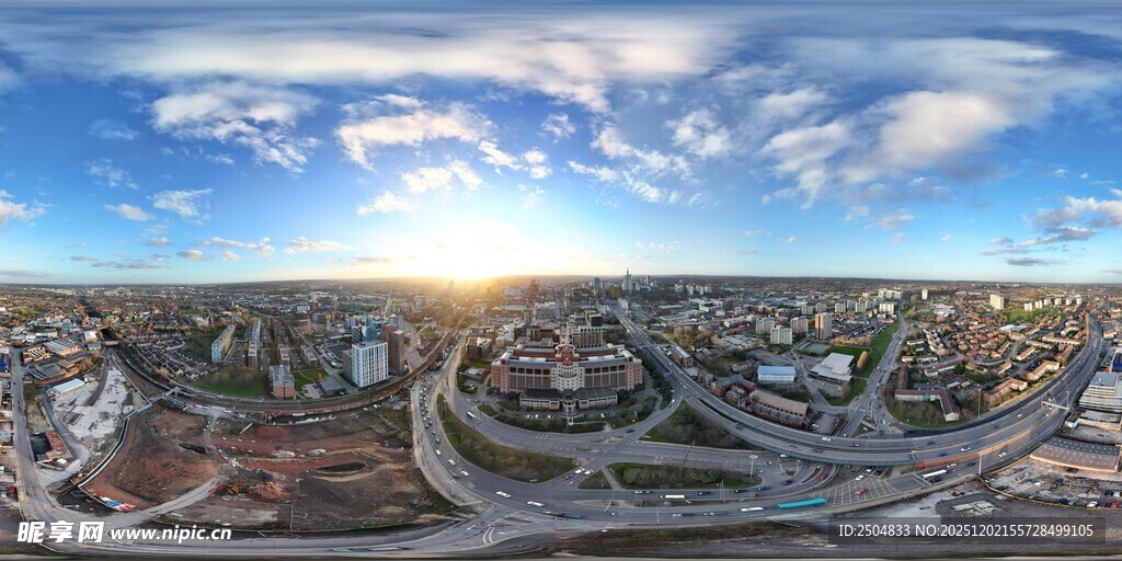 海滩上的枯木与壮丽海景