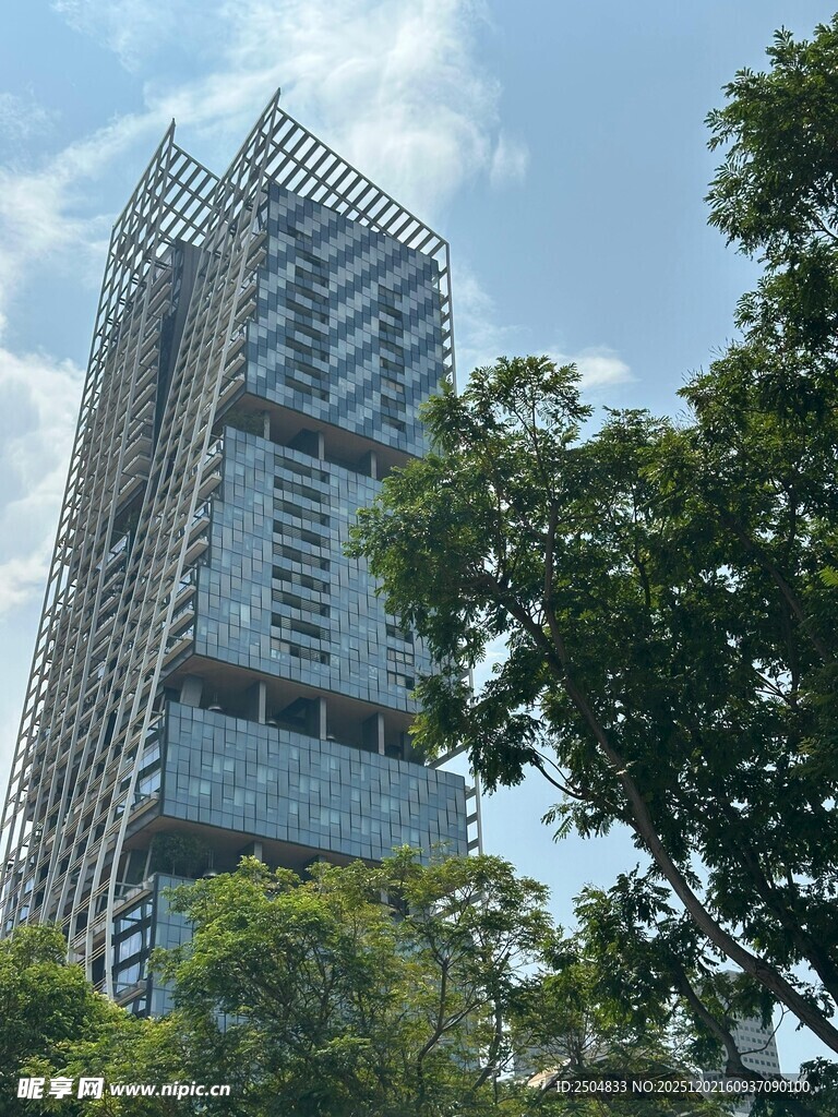 现代高楼与绿树相映成趣