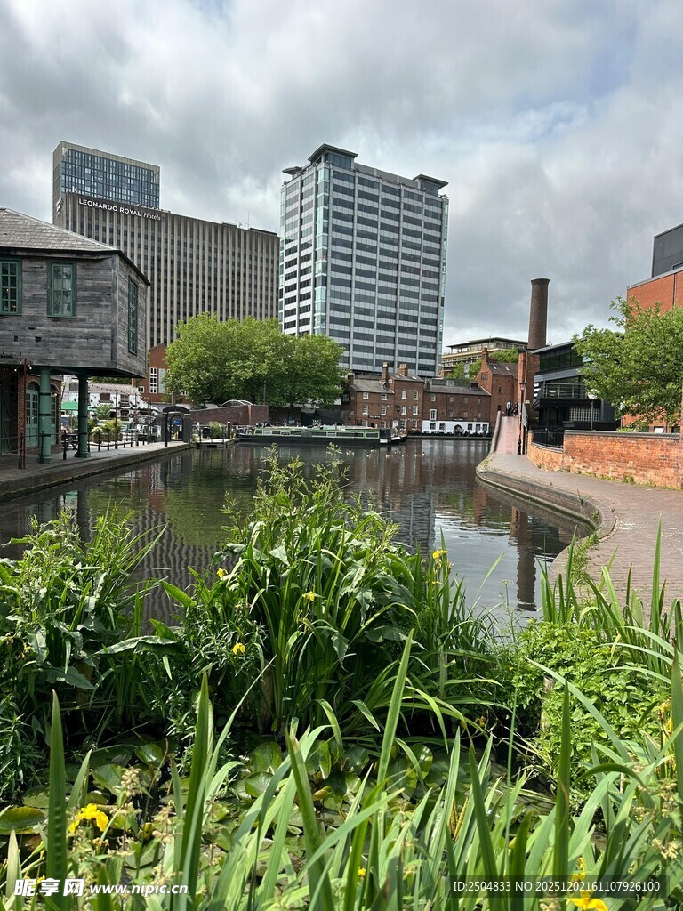 城市河畔绿植与现代建筑