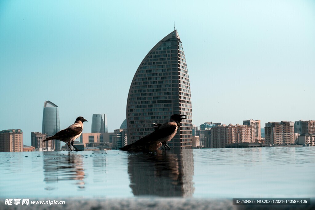 城市天台的浪漫倒影时刻