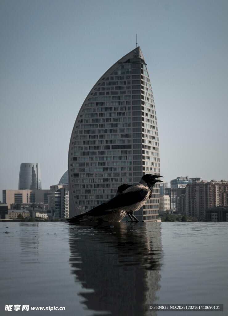 独特造型的水边现代建筑