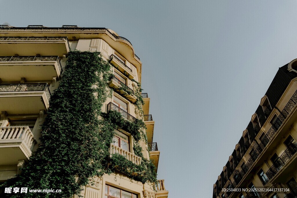 爬满绿植的多层建筑外观