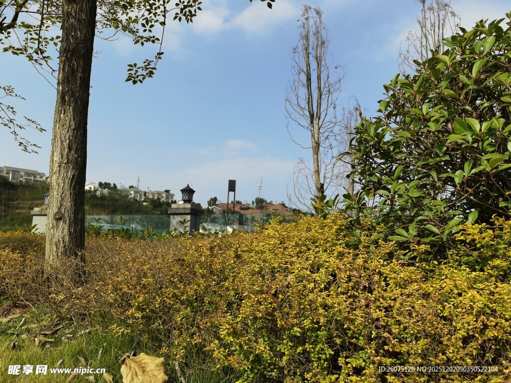郊外绿植蓝天风景图