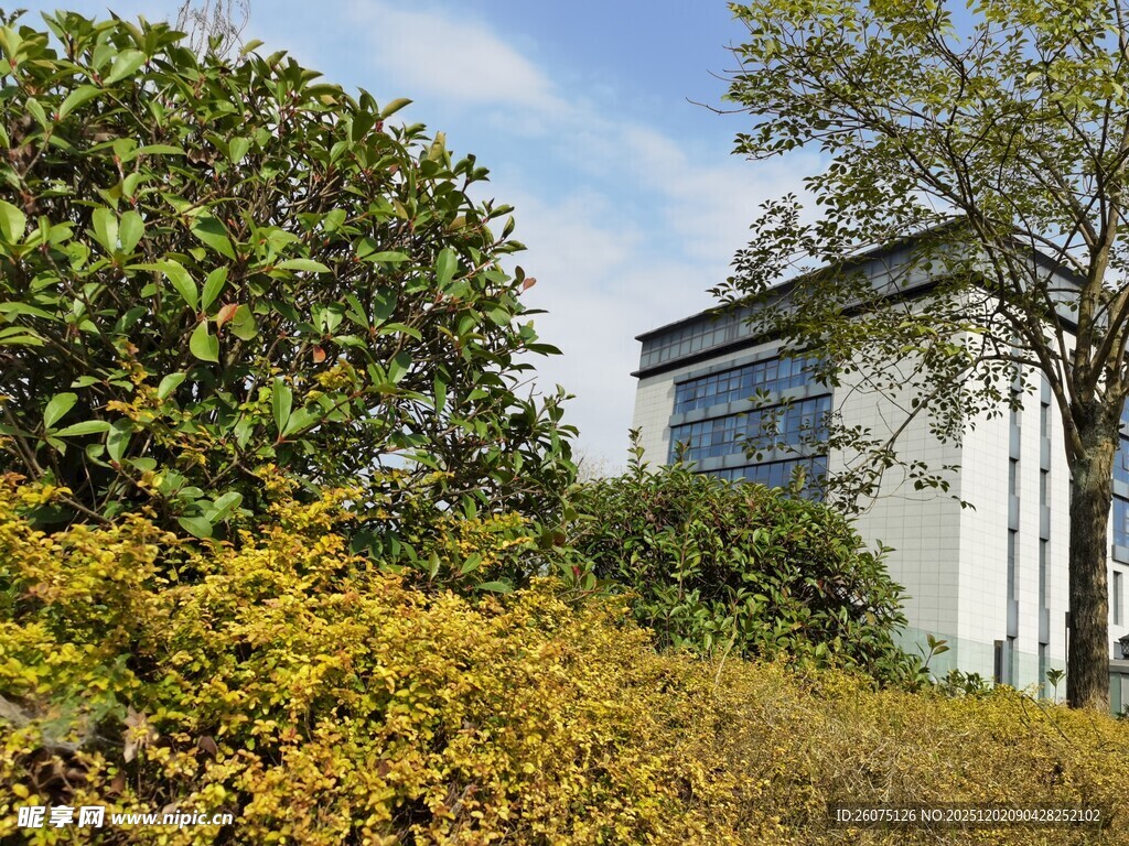 户外绿植环绕的现代建筑