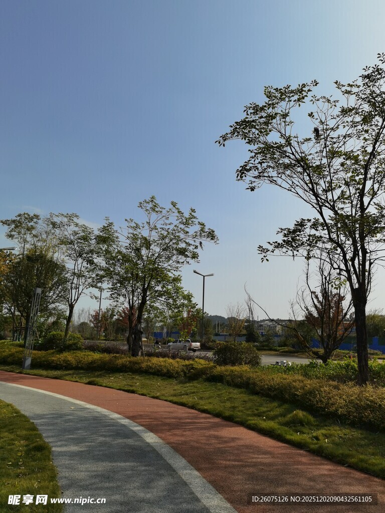 公园中的蜿蜒小路与绿树