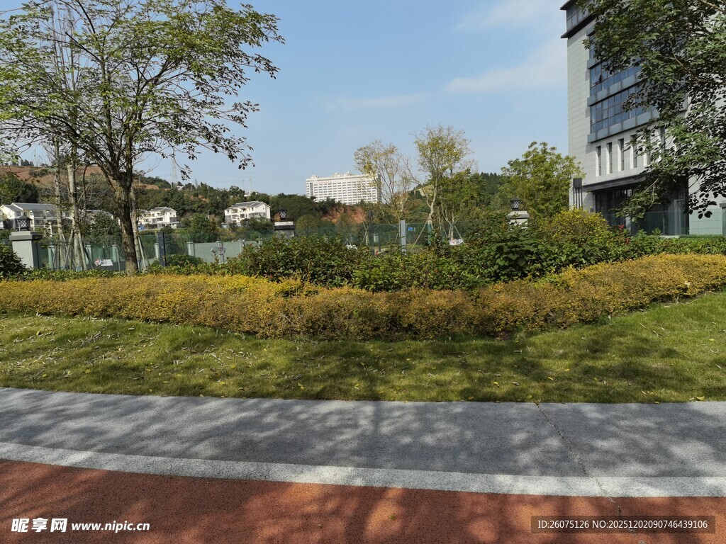 城市中的绿植景观一角