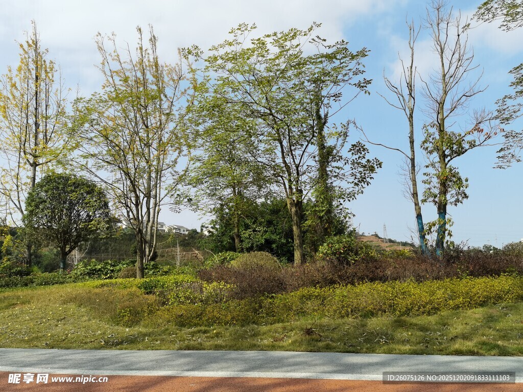 郊外绿意盎然的自然景致