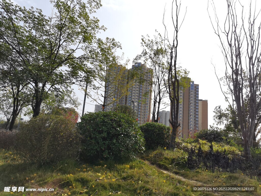 户外绿植环绕的建筑景观