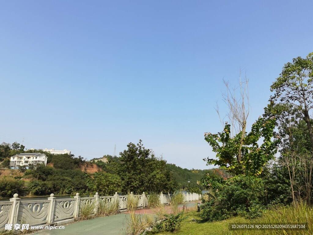 乡村小路旁的绿植与蓝天