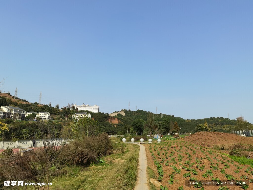 田园风光乡间小路与农田