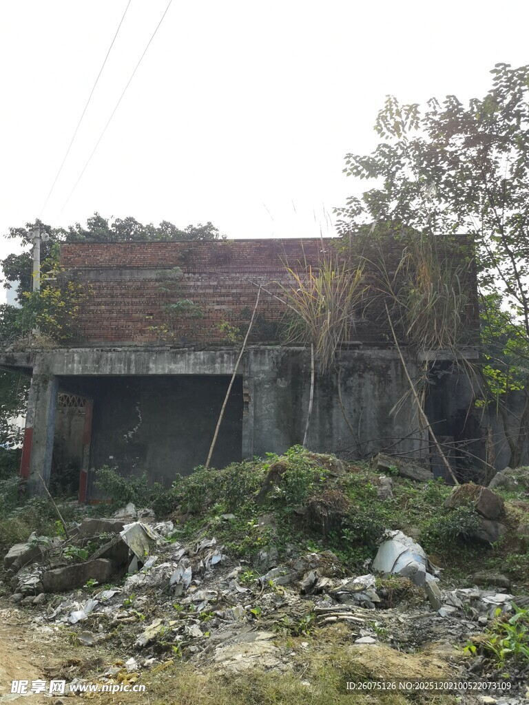 荒废老屋杂草丛生景象