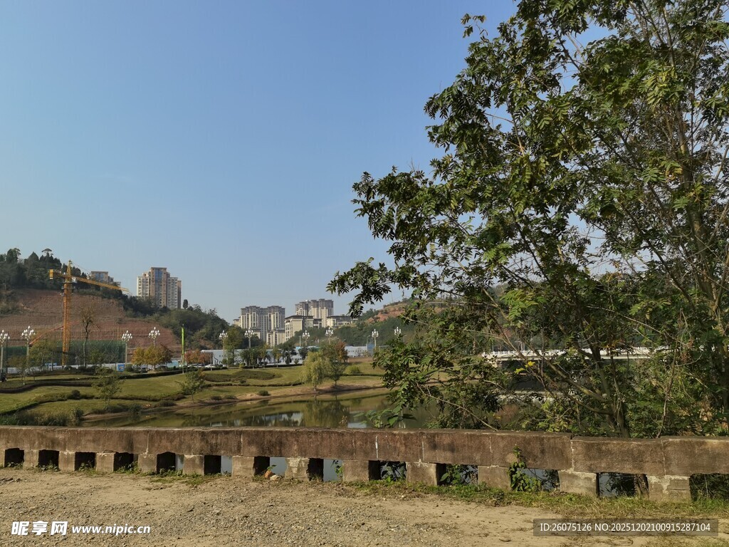 乡村田野边的宁静景致