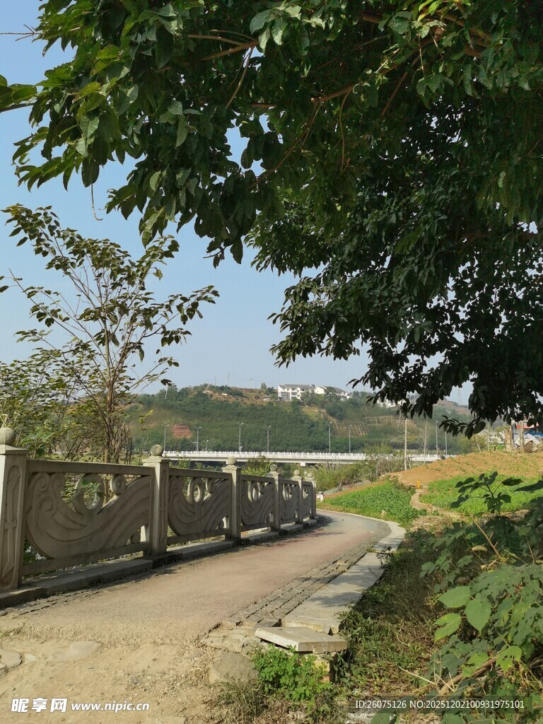 乡村路旁的复古观光小火车