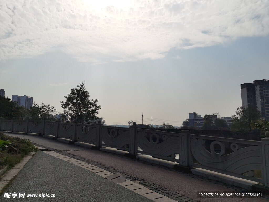 城市道路旁的桥梁风景