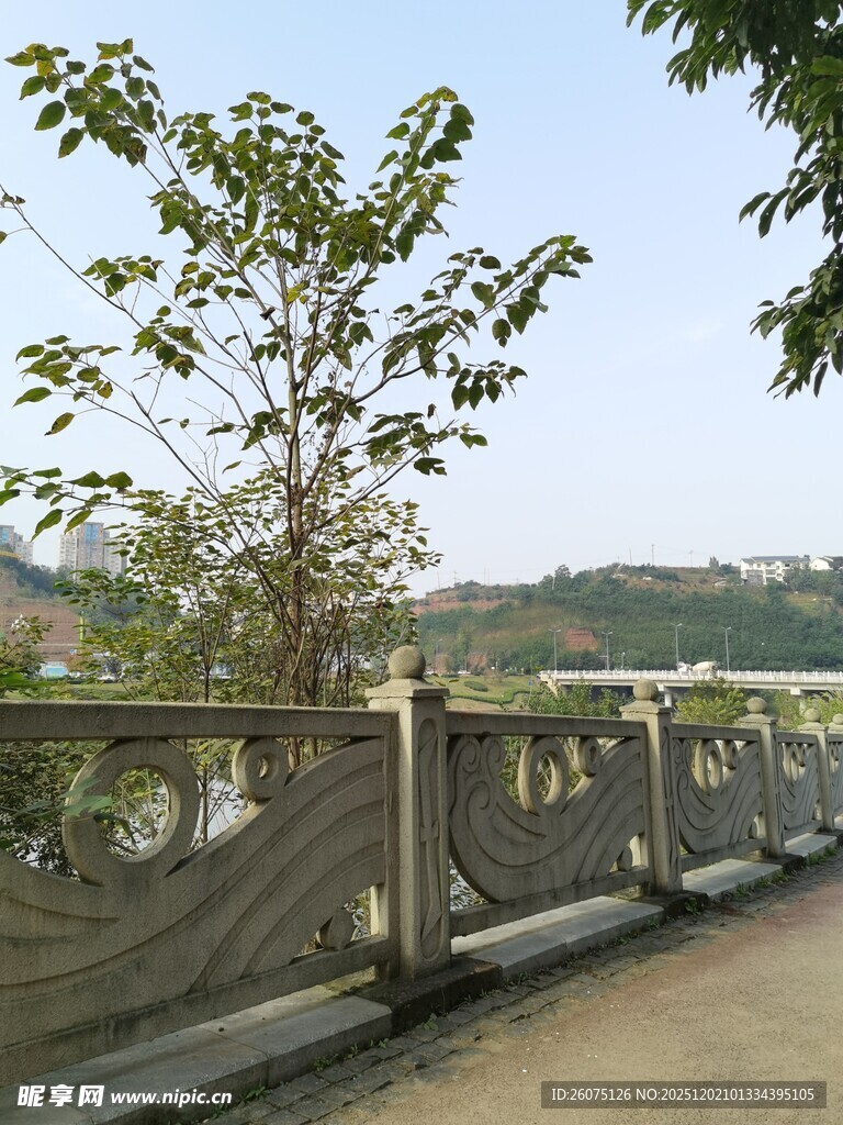 河畔护栏旁的绿树与风景