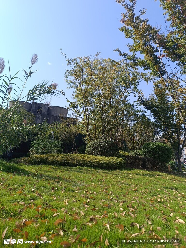 户外绿意盎然的自然景致