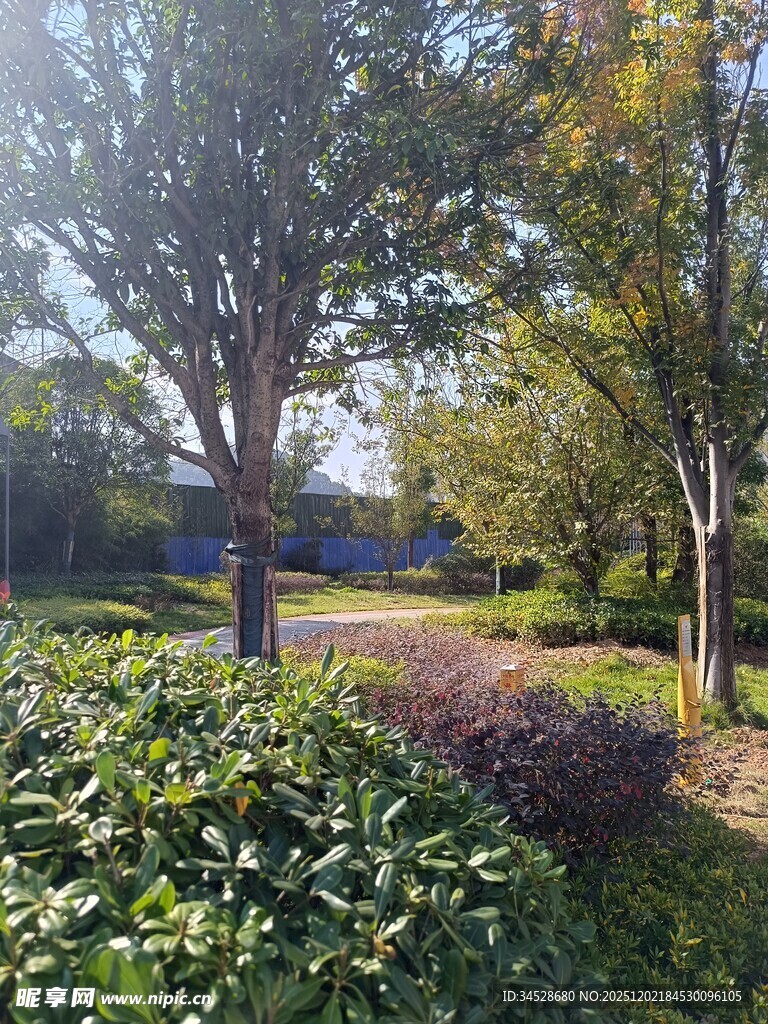 秋日公园绿意盎然景致