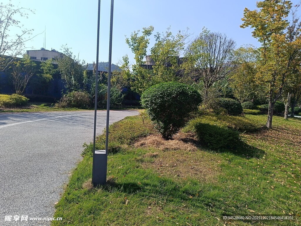 路边绿意盎然的景致