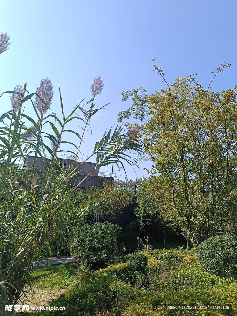 美丽户外花园景致