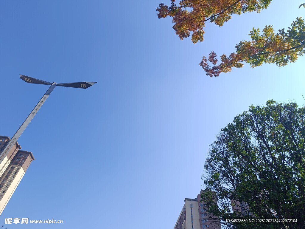 蓝天绿树间的路灯景观