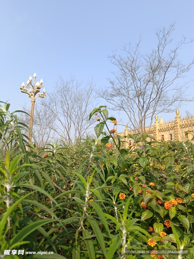 田园绿植与花卉景观