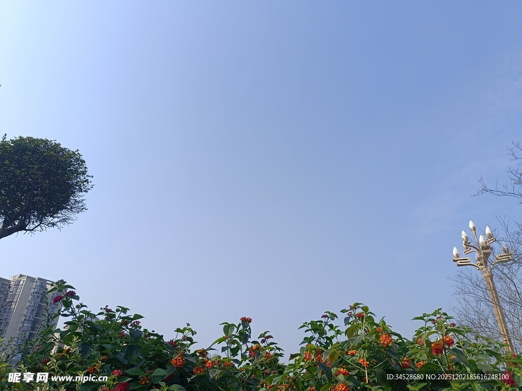 蓝天绿树间的城市景致