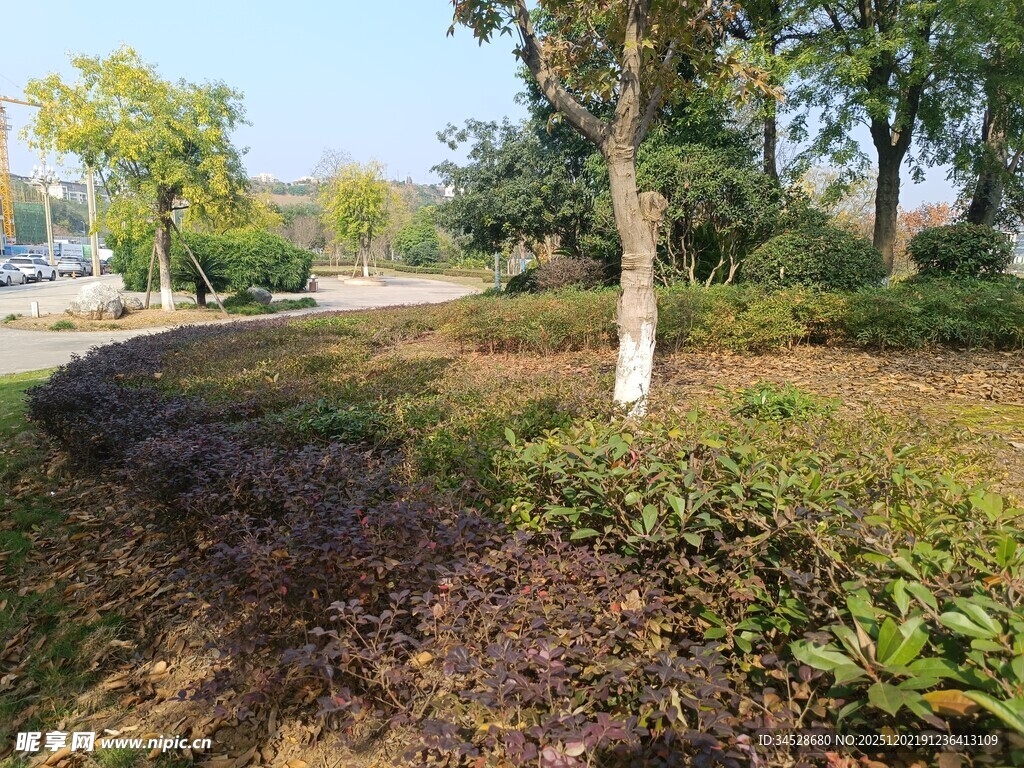 户外绿意盎然的自然景观