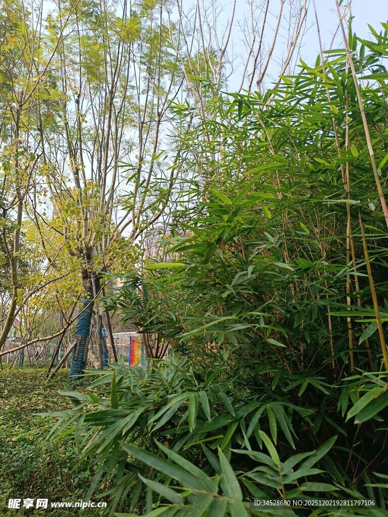 竹林中的人物与自然景致