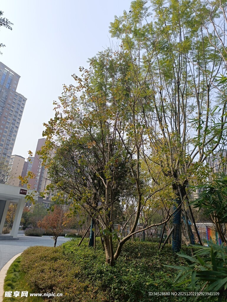 城市中的静谧绿植景观