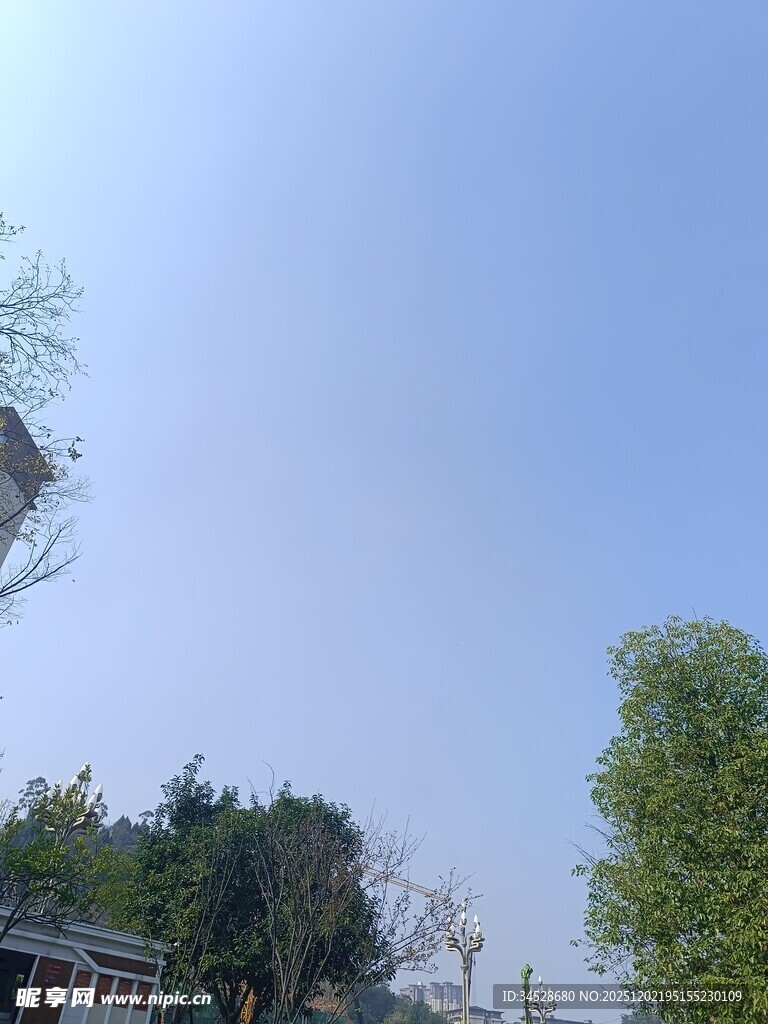 晴朗天空下的绿树与建筑