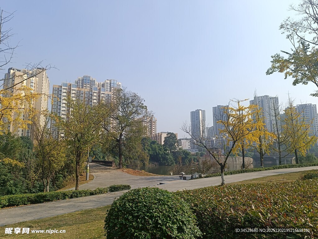 城市公园秋日风光