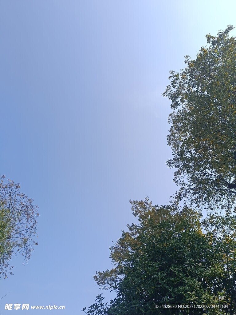 蓝天绿树风景