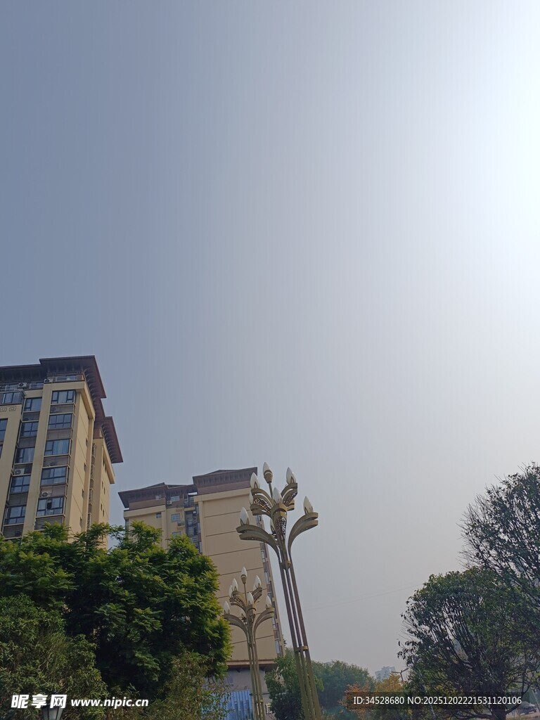 阳光下的城市建筑与绿植