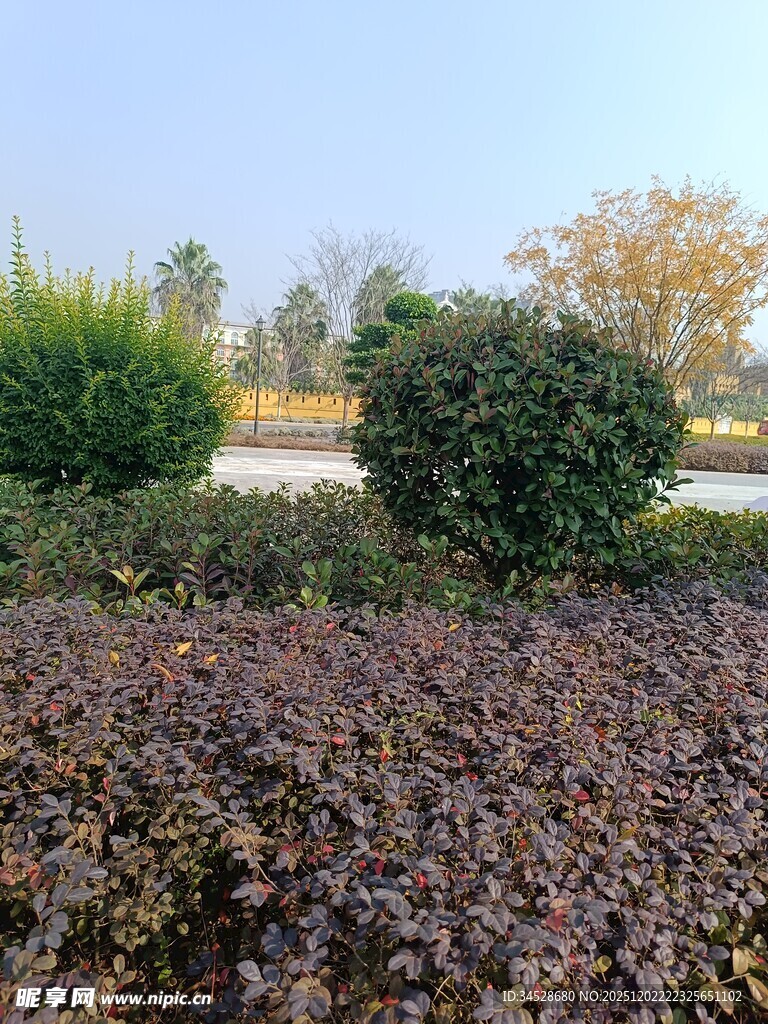 秋日园林植物景观