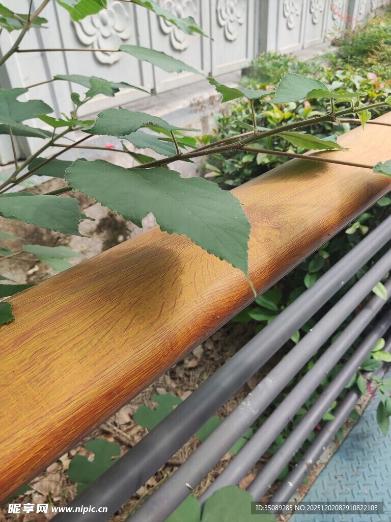 木质栏杆上的翠绿植物