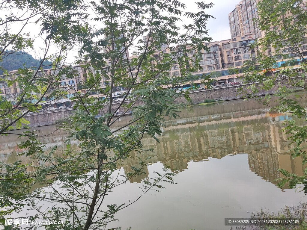 河畔绿树与城市倒影景色