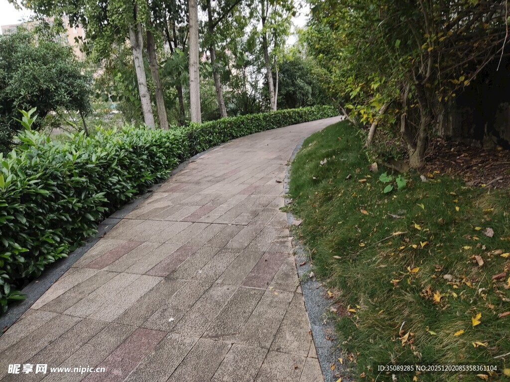 林间蜿蜒的砖石小径