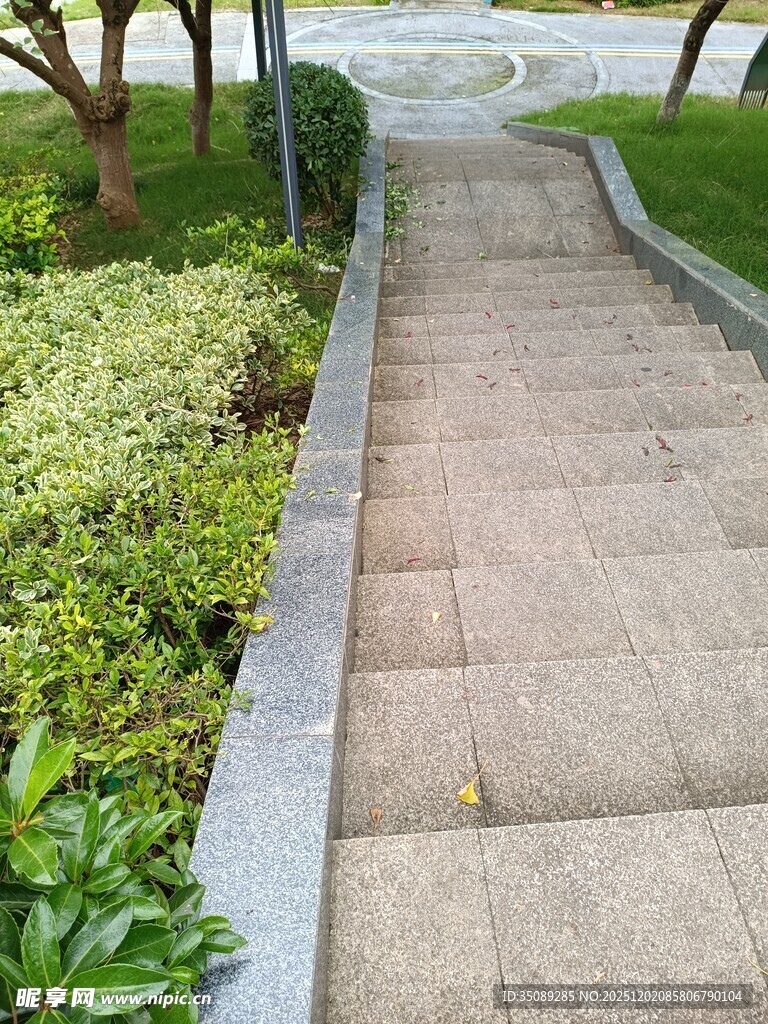 石板小径旁绿植环绕