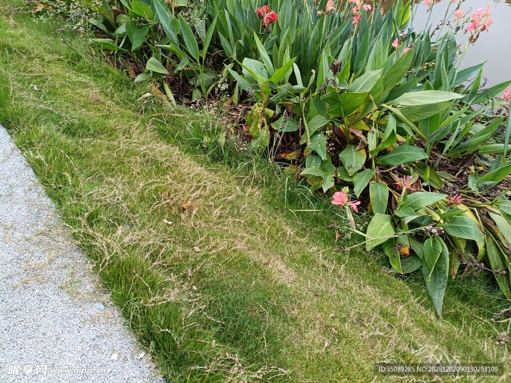 路边绿植花卉景观