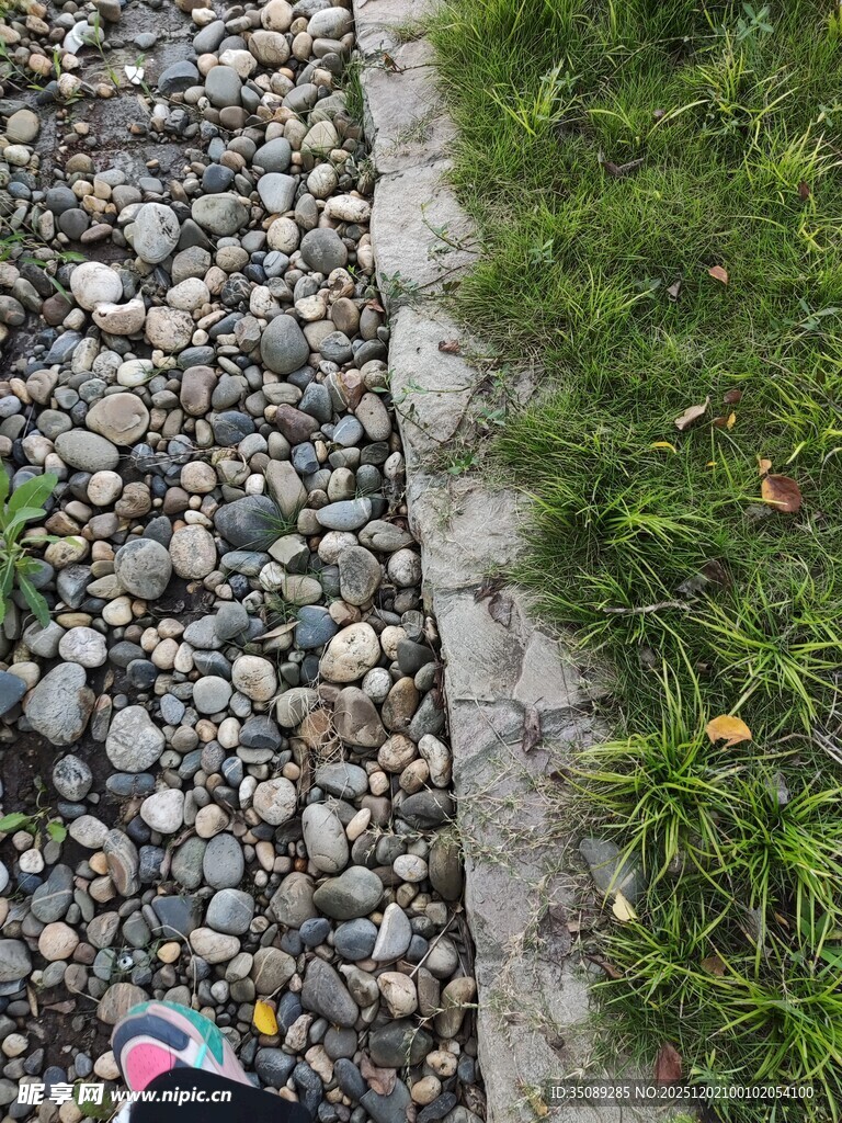 碎石小径旁的翠绿草地