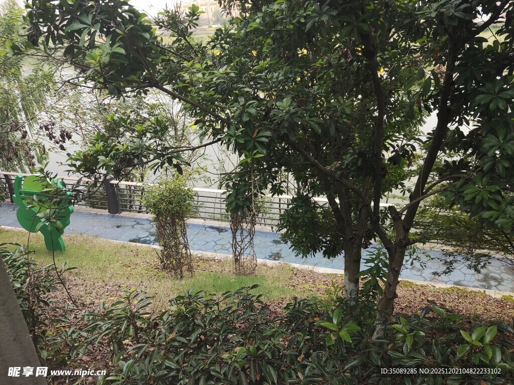 小区内绿意盎然的景观